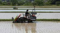 日本の食卓にカリフォルニア産米は定着するか