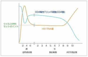 偏見だらけの｢エイズ｣劇的に進化した治療の実際 1日1錠の薬の服用で