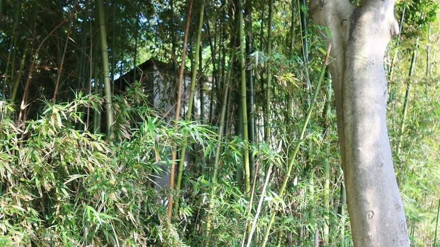 放置されたままの廃墟