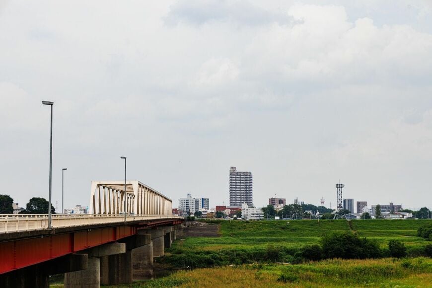 新古河駅東口から土手をのぼれば、渡良瀬川の向こうに茨城県の古河の町（撮影：鼠入昌史）