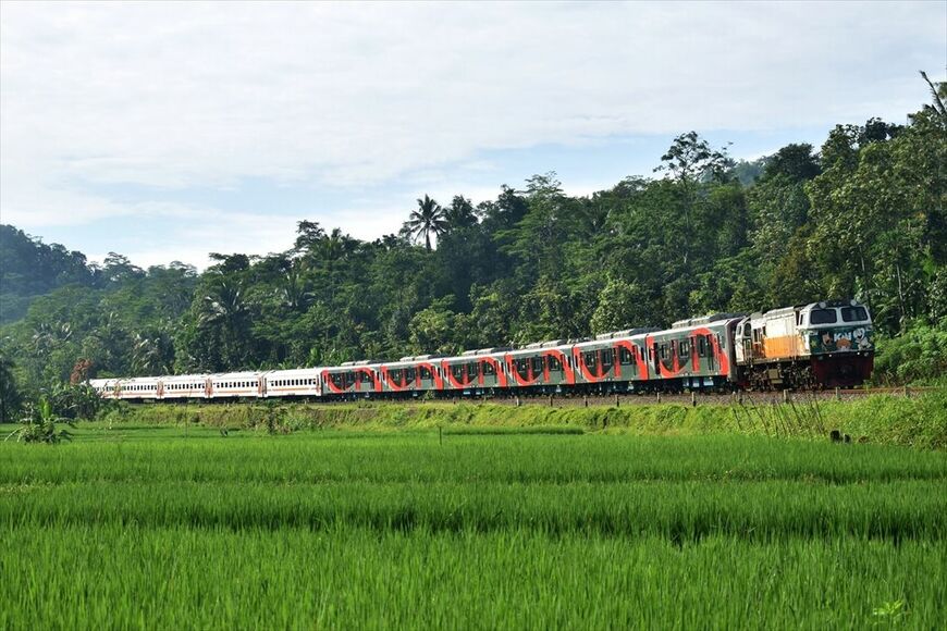 中部ジャワでの試運転を終え、ジャカルタに配給輸送されるCLI-225型のうち後6両（筆者撮影）