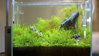 共通テストに｢実在する魔法の水｣が登場したワケ