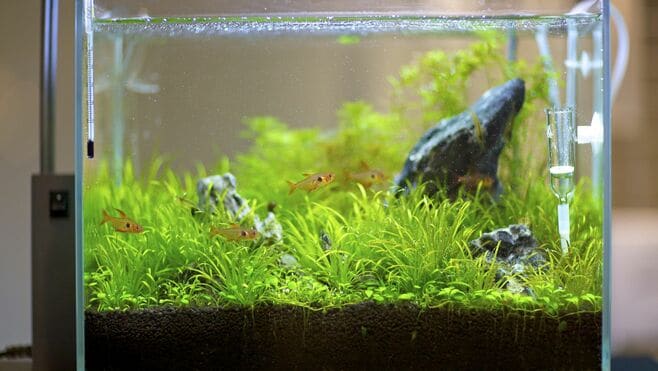 共通テストに｢実在する魔法の水｣が登場したワケ