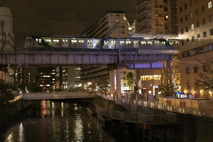 ネオンに包まれる夜の目黒川を渡る池上線
