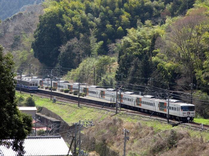 伊豆急線の稲梓駅で普通列車と交換する「踊り子」