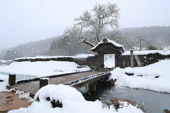 福井市一乗谷にある朝倉氏5代目、朝倉義景の館跡