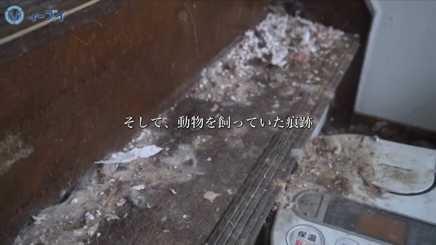 あちこちに猫の糞尿がこびりつき、エサの残骸が落ちている（「（画像：「イーブイ片付けチャンネル」より」）