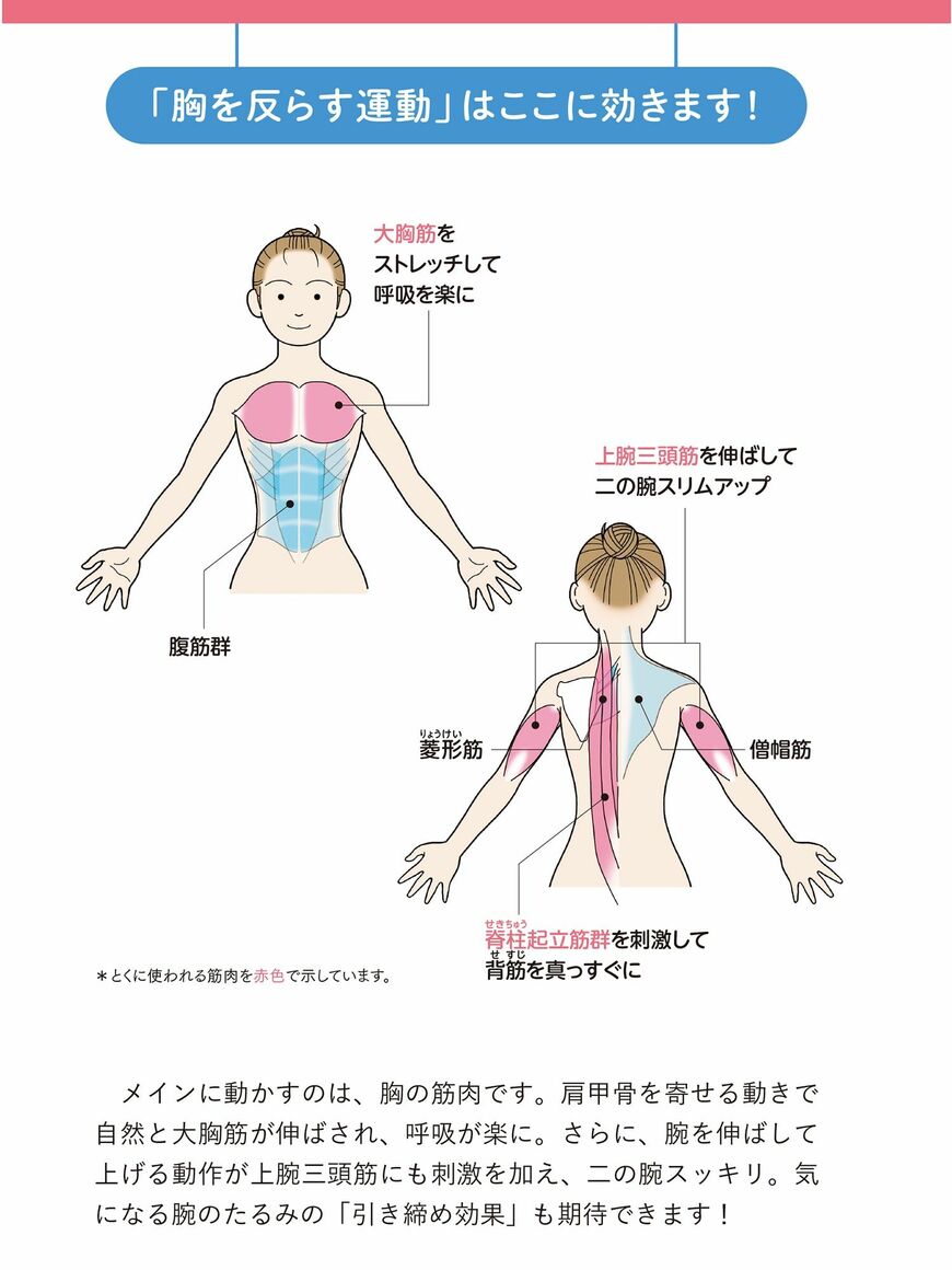 （画像：『じつはすごい！ 科学的に証明された本当のラジオ体操』）