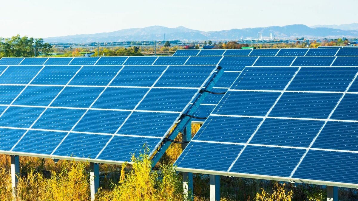 急成長から一転…｢突如破綻した企業｣の"共通項" | 経営 | 東洋経済オンライン