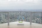 渋谷スカイから横浜方面を望む