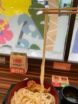 うどんってこんなに長かったろうか（筆者撮影）