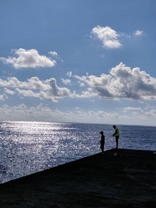 悪石島の港にて（画像提供：片野田隆紀）