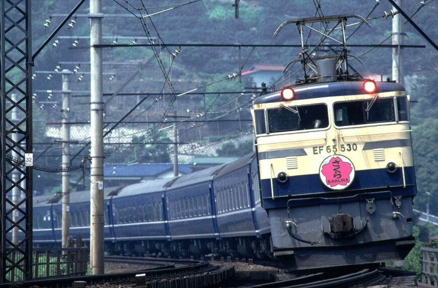 ピンクの「さくら」EF65P　東海道本線真鶴―湯河原　1975年7月（撮影：南正時）