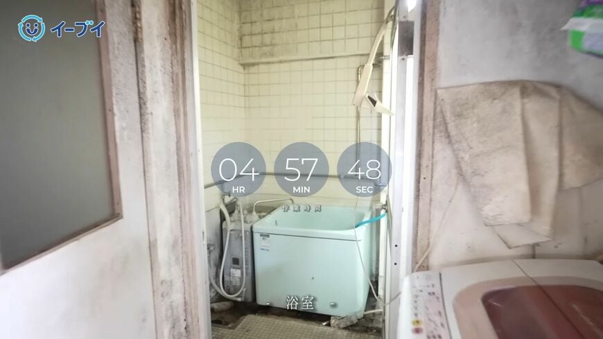 （写真：「イーブイ片付けチャンネル」より）