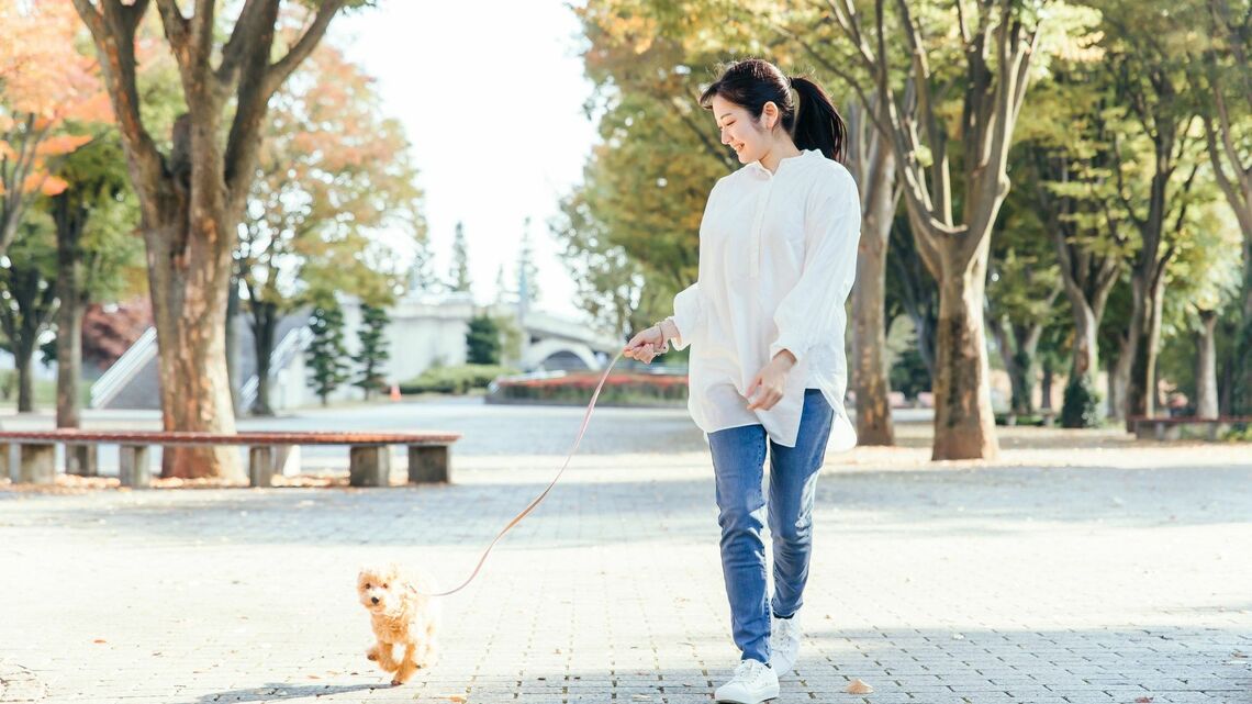 関節の痛みを抑えるために大切なのは「毎日の習慣」だという（写真：buritora／PIXTA）