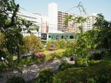 駅付近の線路西側には緑地や公園が広がる（記者撮影）