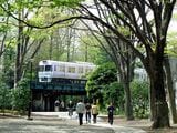 新緑の井の頭公園内を走る電車（撮影：南正時）