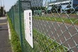 柵で囲われた南砂町線用地。現在も都有地として東京都が管理している（筆者撮影）