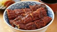 寒い冬こそ食べ頃｢めすうなぎ｣の知られざる魅力 うなぎの一大産地｢三河一色｣から生まれた