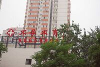 中国でも不妊治療ブーム、代理母で八つ子も 拡大する不妊ビジネス