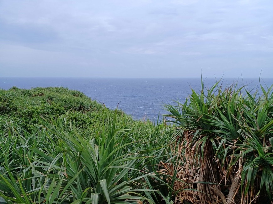与那国島