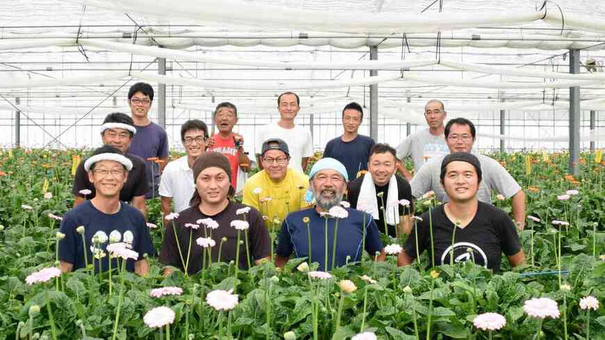 浜松市の生産者グループ「浜松PCガーベラ」が躍進した理由とは？（写真提供：浜松PCガーベラ）