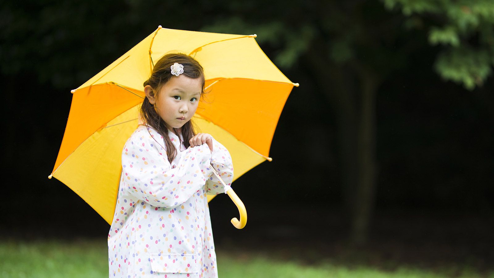 雨の日が楽しくなる ツウっぽい 英語表現 実践 伝わる英語トレーニング 東洋経済オンライン 社会をよくする経済ニュース