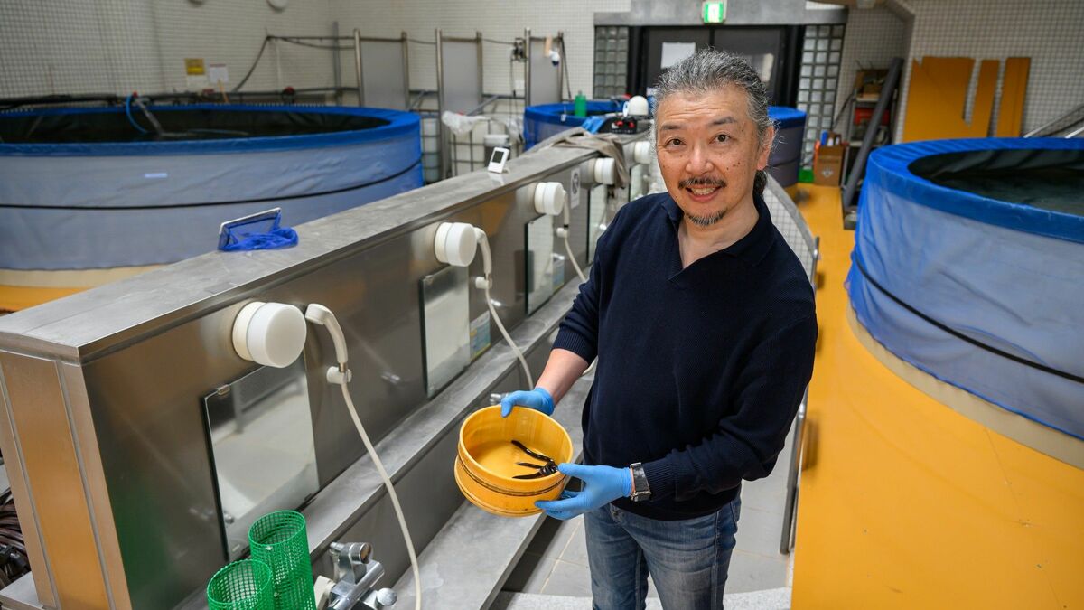 東洋経済が報じた日本の半導体戦略の現状と課題