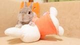 （写真提供：やすさん）