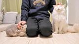 （写真：やすさん提供）