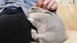 （写真提供：やすさん）