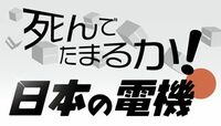 死んでたまるか！ 日本の電機 2013年、電機の最終的な浮沈が懸かっている