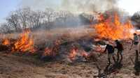 山火事にならない？｢野焼き｣が現代に復活の理由 春を告げる野焼きは全国で100カ所以上で実施