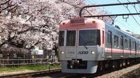 京王井の頭線､四季の花咲く沿線と｢7色の電車｣