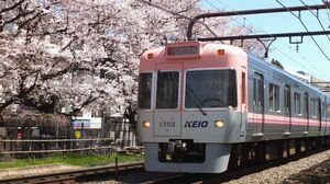 鉄道　ワンマン Steam locomotive Taiju No.123 returns!” 「＂SL大樹C11形123