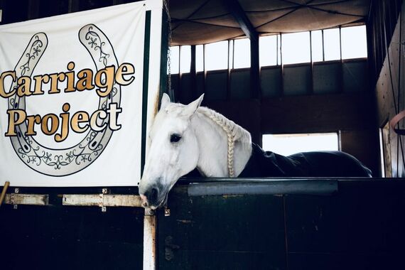 白馬のシュガーベル