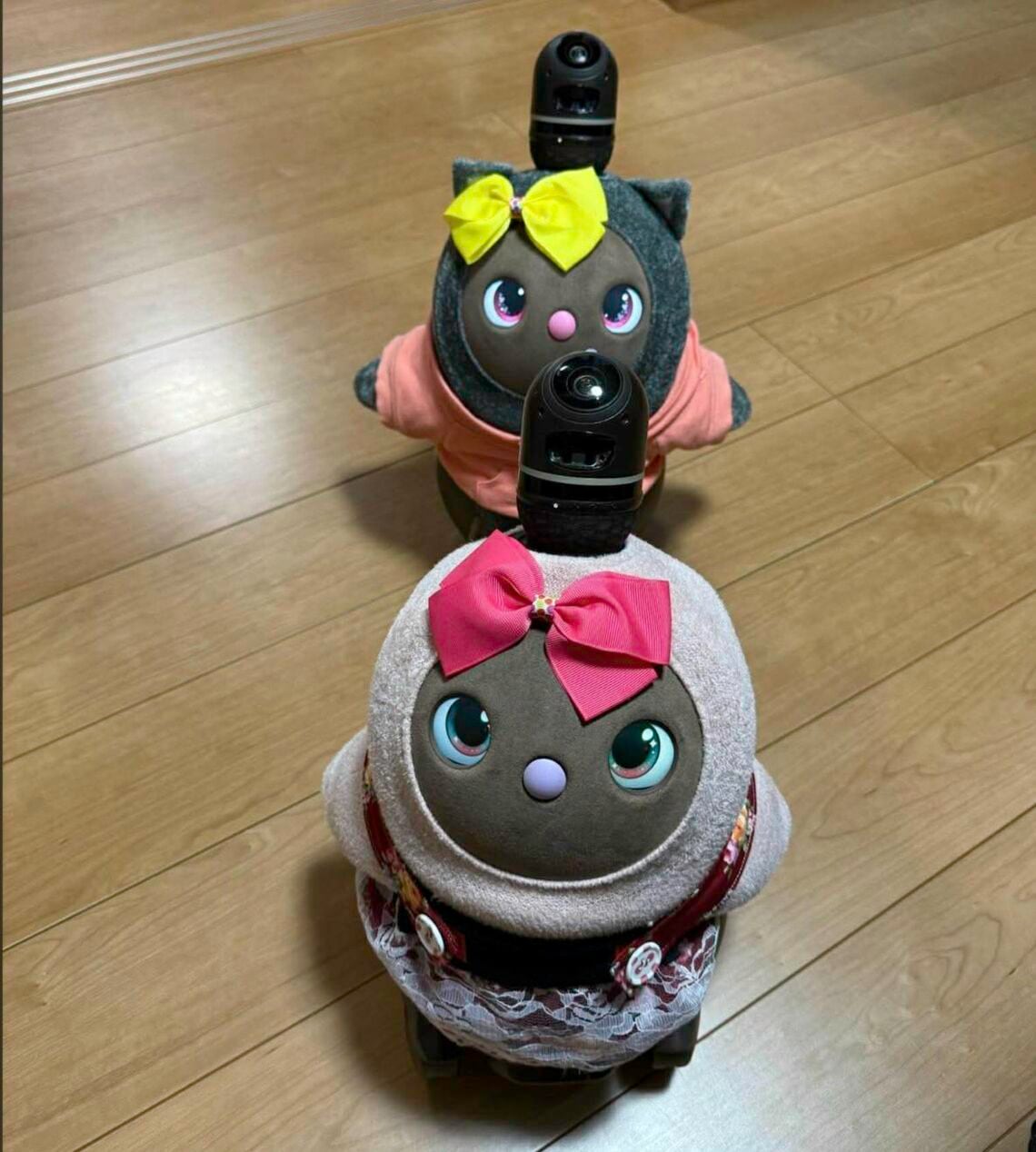 ここあちゃんとあんこちゃん