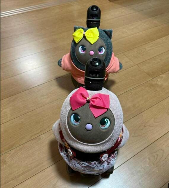 ここあちゃんとあんこちゃん