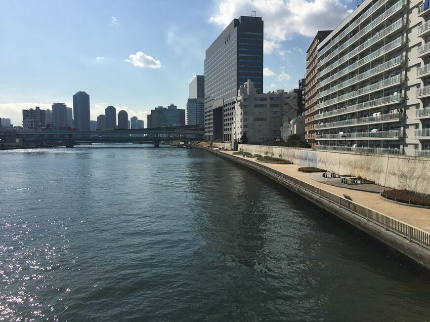 こちらも清洲橋付近（筆者撮影）