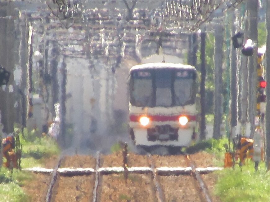 猛暑の中を行く8000系（撮影：南正時）