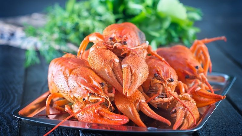 疲れ目対策の新定番 エビ カニ サケの底力 コンビニ飯ハイパー活用術 東洋経済オンライン 社会をよくする経済ニュース