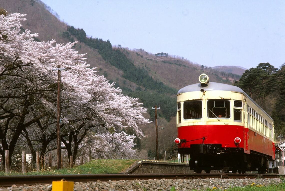 桜と岩手開発鉄道キハ301（撮影：南正時）