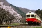桜と岩手開発鉄道キハ301