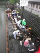 2015年の抱木の掘り出し作業（写真提供：田村祥二さん）