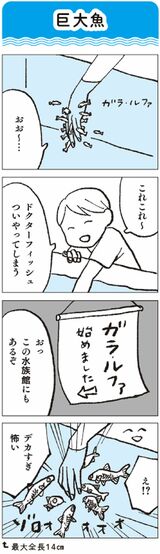 マンガ「巨大魚」