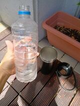 しっかりと氷が残っている（著者撮影）