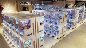 カプセルトイ専門店の店内
