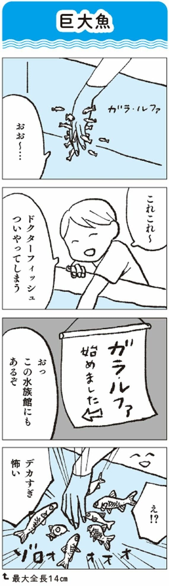 マンガ「巨大魚」