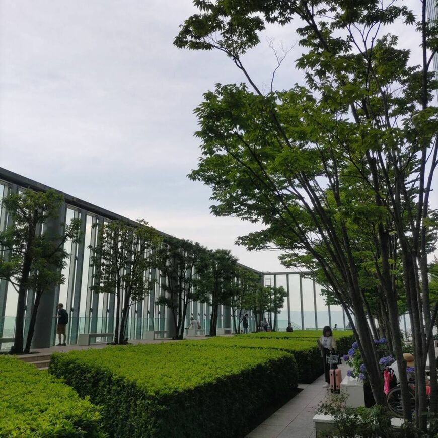 あべのハルカス16階には無料で入れる屋外庭園がある（著者撮影）