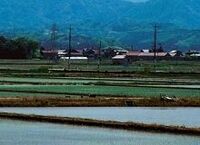 ＴＰＰ参加問題、製造業にとっても無益、農業には壊滅的打撃も